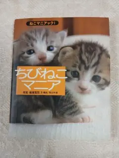 ねこマニアック！「ちびねこマニア」　写真板東寛司　大和書房刊