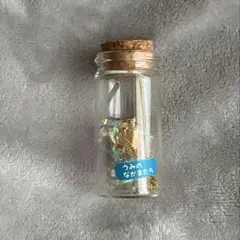 【未使用】　ネックレス　ガラス瓶入り　海の仲間たち