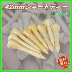 Item thumbnail for item 267b13d2-4130-419f-8601-c3e74dd34833