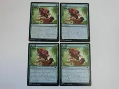 MTG 蓄え放題 ブルームバロウ 日 4枚セット