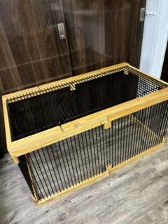 メディカル60フェレット