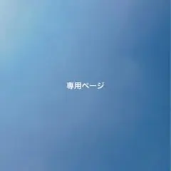 専用ページ