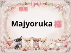 専用