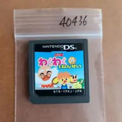 わくわくDS1ねんせい