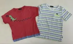 クレードスコープ　半袖Tシャツ　2枚セット　恐竜　ボーダー