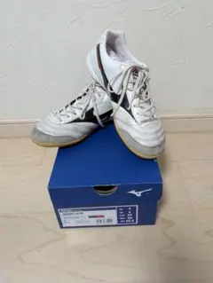 Item thumbnail for item ef7a34dc-fc04-4aa5-a530-70c32f4c05c1