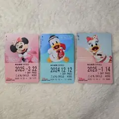 ベリミニ　ディズニー　実写　リゾラのカード　フリー切符