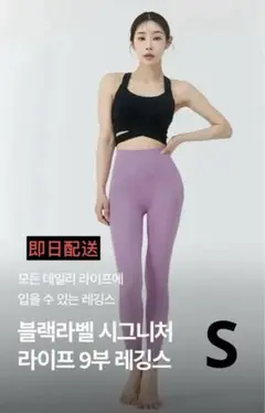 Item thumbnail for item 8893e294-0b05-42fd-a03d-c2fd505d5eda