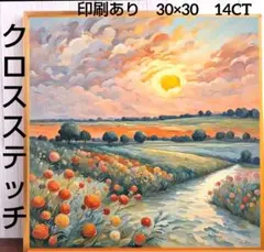 クロスステッチキット　印刷あり　30×30　14CT