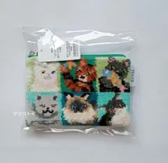 Item thumbnail for item ff770665-c0bb-4764-a501-bece44850cb1