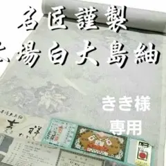 【名品】名匠謹製 白大島紬(縦横7マルキ)