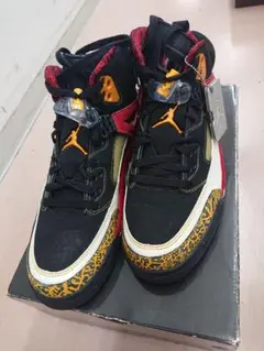 Jordan Spiz'ike 10 (US)