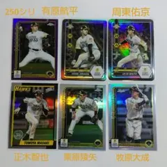 Item thumbnail for item 169edbf2-497f-4ee8-a475-5c49aa9bc89c