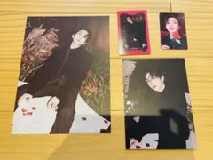seventeen  シーグリ　ジョシュア