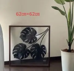 リーフパネル　モンステラ　　ブラック62㎝×62㎝