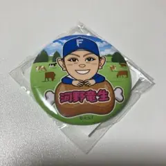 ファイターズ 北海道肉祭り 2025 缶バッチ 河野竜生
