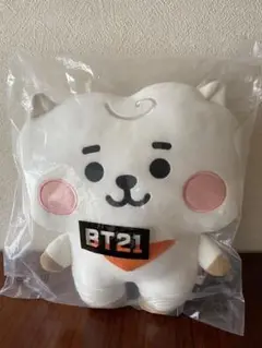 LINE FRIENDS BT21 RJ ぬいぐるみ ( ⁎ᵕᴗᵕ⁎ )❤︎