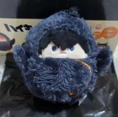 ハイキュー！！　くるみたぴぬい　影山