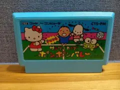 FC サンリオカップ