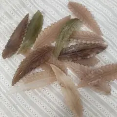 【14個セット】葉っぱ　パーツ　カボション　ビーズ　ハンドメイド　葉