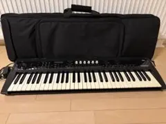 2025年最新】KORG PS60の人気アイテム - メルカリ