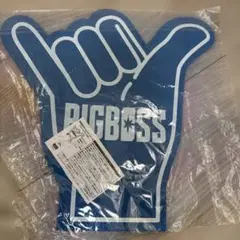 【新品】北海道日本ハムファイターズ　フォームフィンガー　BIGBOSS