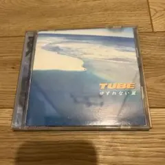 チューブ/ゆずれない夏