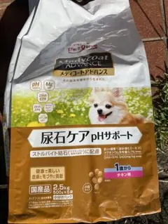 Item thumbnail for item 1b2e5f92-0608-4653-8401-472c64aca45e