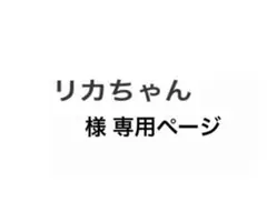 専用ページ