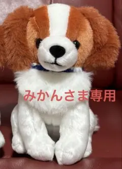 コーイケルホンディエのおでこちゃん　おすわり　ぬいぐるみ　マスコット　STサイズ