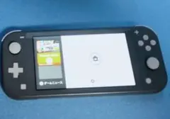 値下げ不可 任天堂 スイッチライト グレー 本体のみ Switch