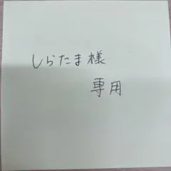 ニット