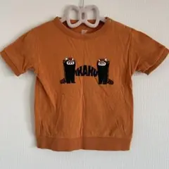 グラニフ　IKAKU Ｔシャツ　90サイズ　レッサーパンダ
