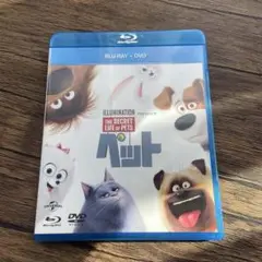 ペット ブルーレイ のみ！
