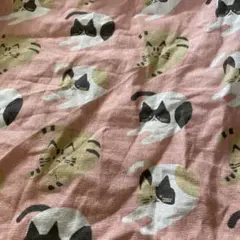 猫生地クロス