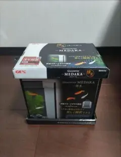 GEX グラステリア メダカ横見M(おまけ付き)
