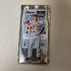イーグルスベア2024　則本昂大