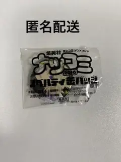 (匿名配送)ナツコミ2016 缶バッジ 白夜ミカエラ 1