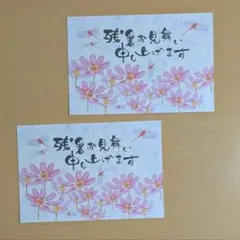 ✿残暑お見舞い✿　秋桜（コスモス）と赤とんぼ舞う　２枚セット