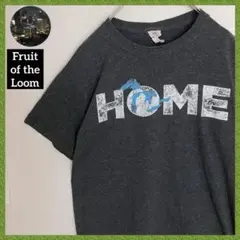 フルーツオブザルーム HOME オールドデザイン 霜降り Tシャツ tシャツ