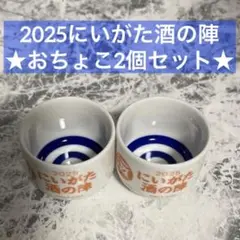 新潟酒の陣記念グッズと半纏 m46247367217_1.jpg?1662382411