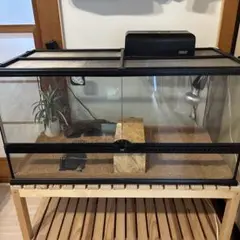 グラステラリウム 9045 爬虫類飼育ケージ　※配送不可、引き取り専用※ GEX エキゾテラ グラステラリウム 9045 爬虫類 ケージ 代引不可