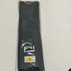 Item thumbnail for item 0a4ea76d-156a-4919-b8b8-5be50da4366f