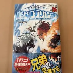僕のヒーローアカデミア Vol.36