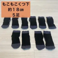 Item thumbnail for item 01e2d49d-5ff5-4ecc-9d9e-73c9cb36b1d8