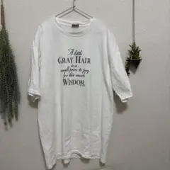 AllSport 100%コットン Tシャツ XL