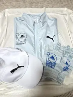 Item thumbnail for item 34721555-2442-4fb4-a559-b40b28a89b16