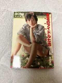 Item thumbnail for item c90defca-9b11-4777-8f90-5bcefee31b8f