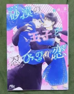 BL 砂漠の王子と忍びの恋