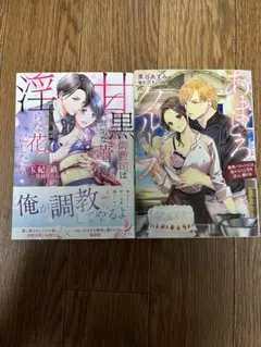 玉置直・栗谷あずみ　蜜夢文庫　2冊セット